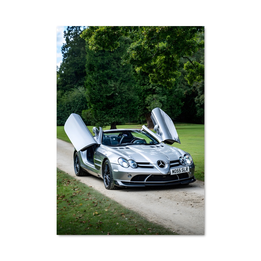 Poster SLR magnifique